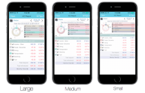 EvoWallet, Screen scale size : Configurable for all HD/Retina display devices.